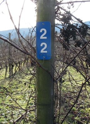 crop and vineyard row number tags